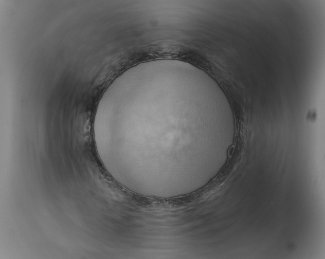 X0000114530818200911091108