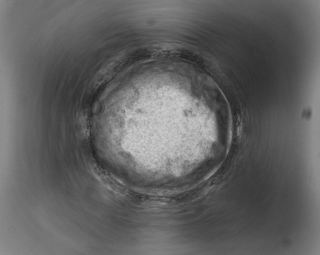 X0000114530819200911091108
