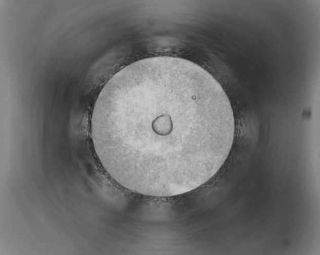X0000114530820200911091108