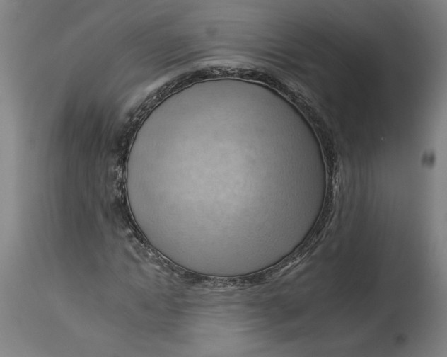 X0000114530822200911091108