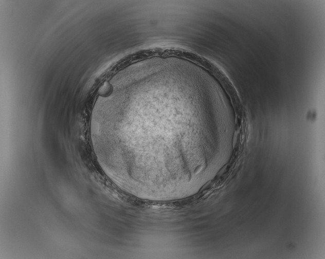X0000114530823200911091108
