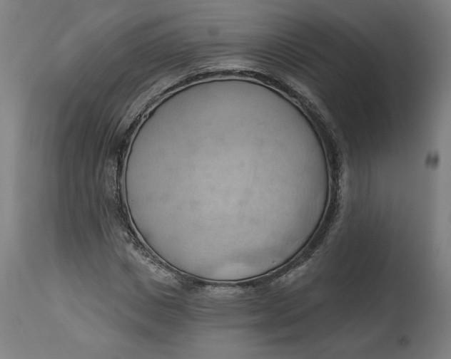 X0000114530825200911091108