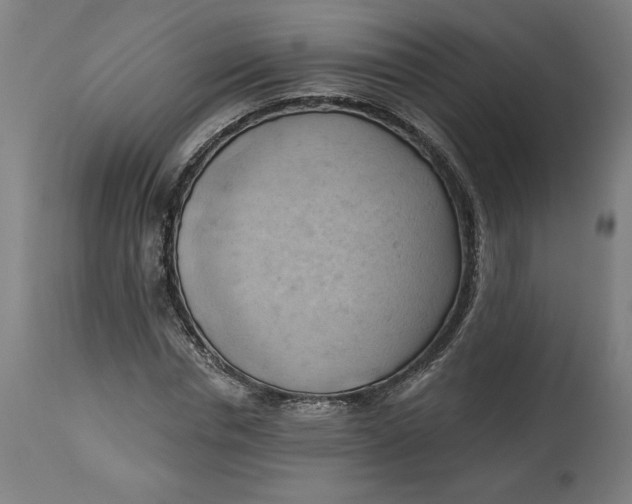 X0000114530826200911091108