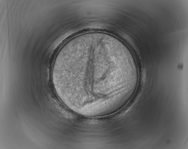 X0000114530829200911091109