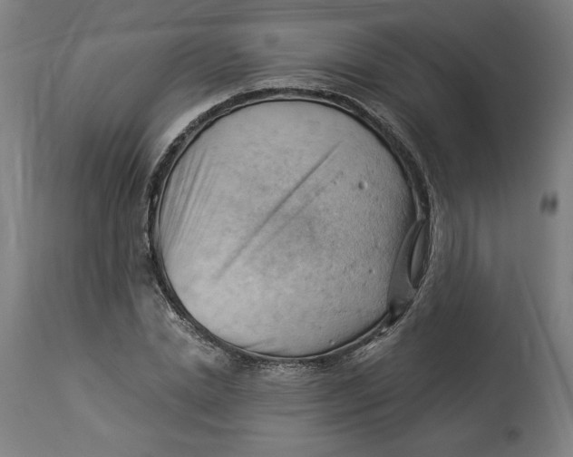 X0000114530830200911091109