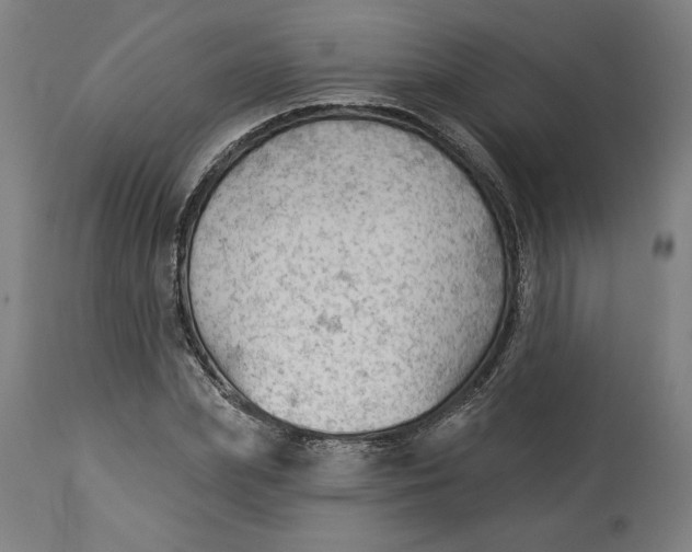 X0000114530831200911091109