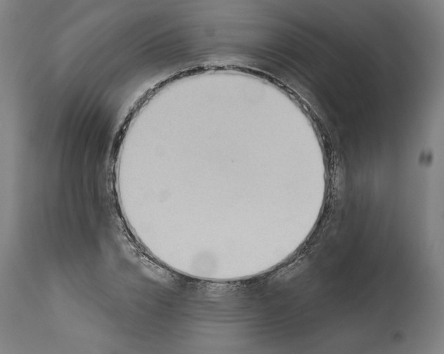 X0000114530832200911091109