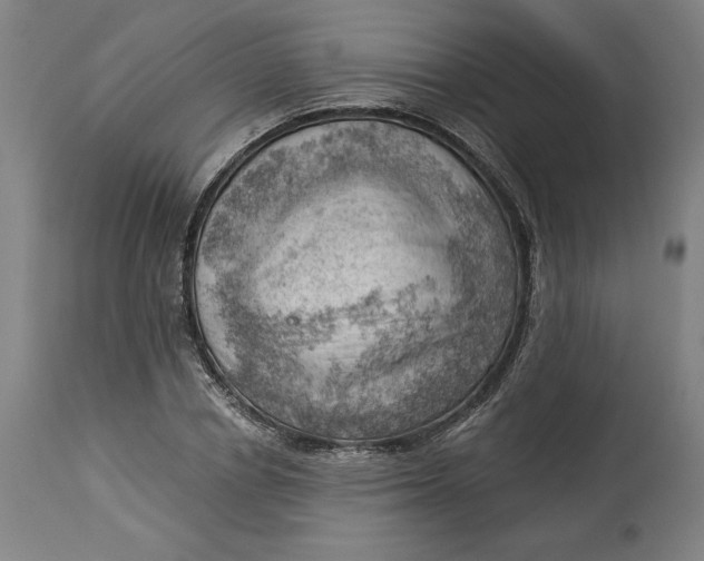 X0000114530834200911091109