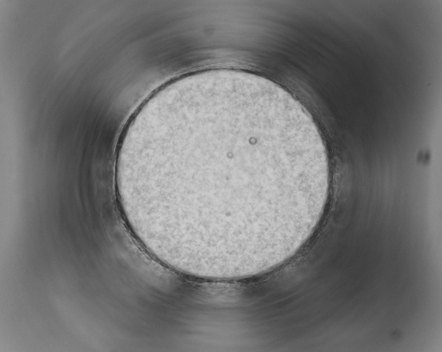 X0000114530836200911091109