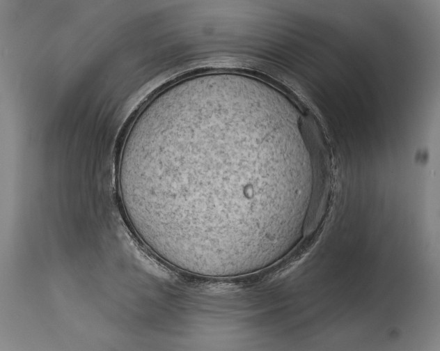 X0000114530837200911091109