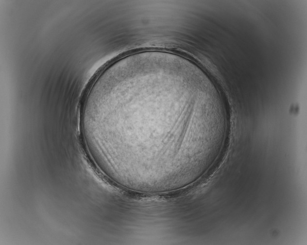 X0000114530838200911091109