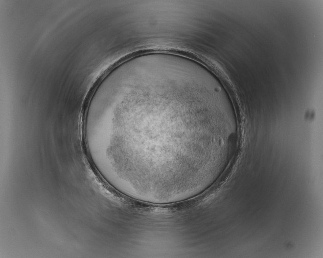 X0000114530839200911091109