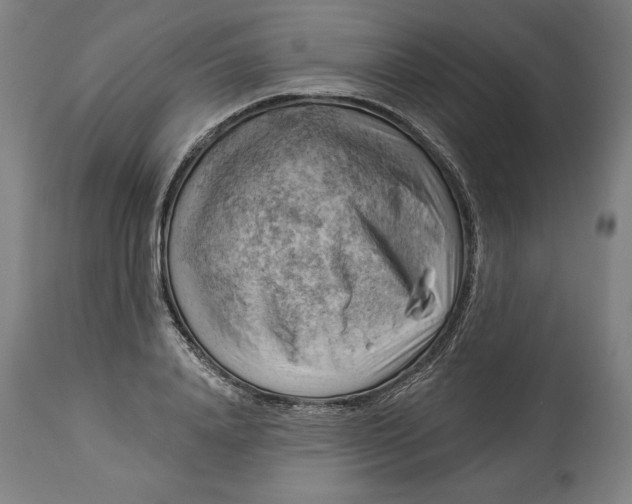 X0000114530840200911091109