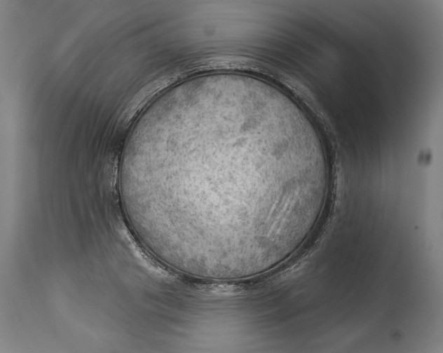 X0000114530841200911091109