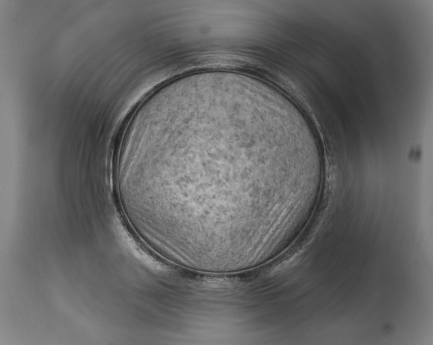 X0000114530843200911091109