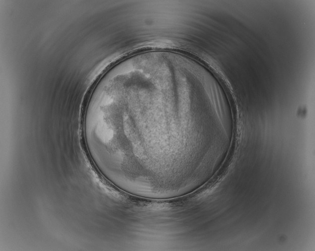 X0000114530845200911091109