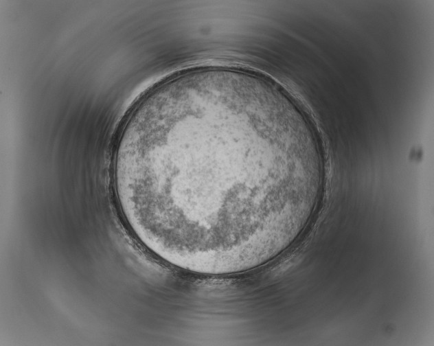 X0000114530846200911091109