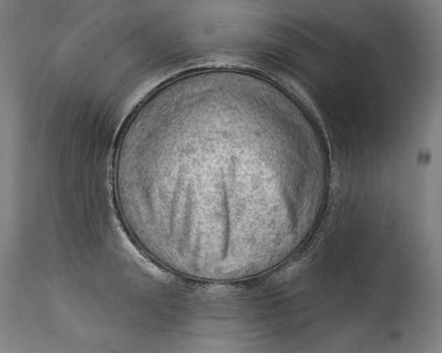 X0000114530847200911091109