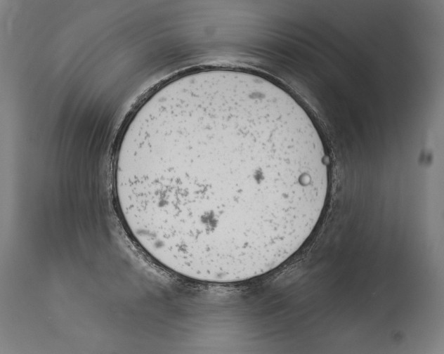 X0000114530848200911091109