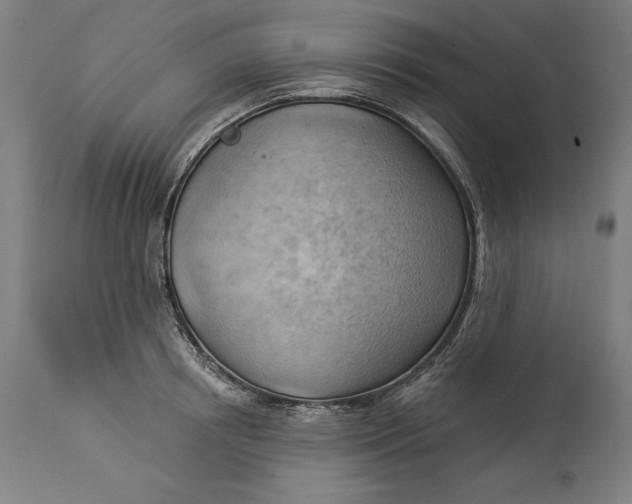 X0000114530850200911091109