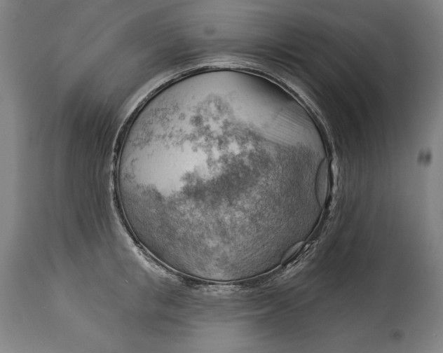 X0000114530853200911091109
