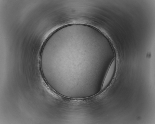 X0000114530854200911091109