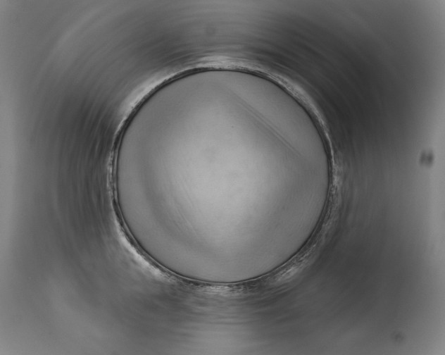 X0000114530855200911091109
