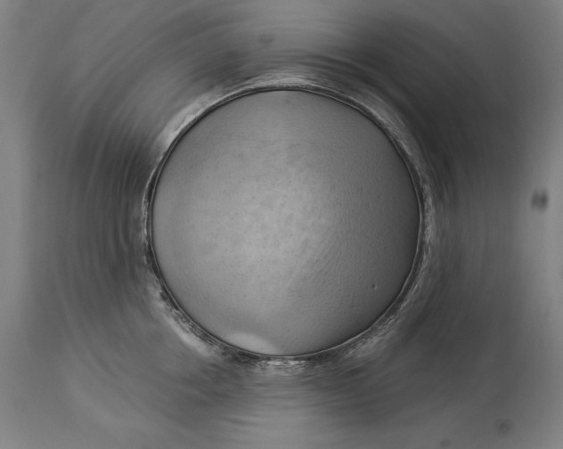 X0000114530858200911091109