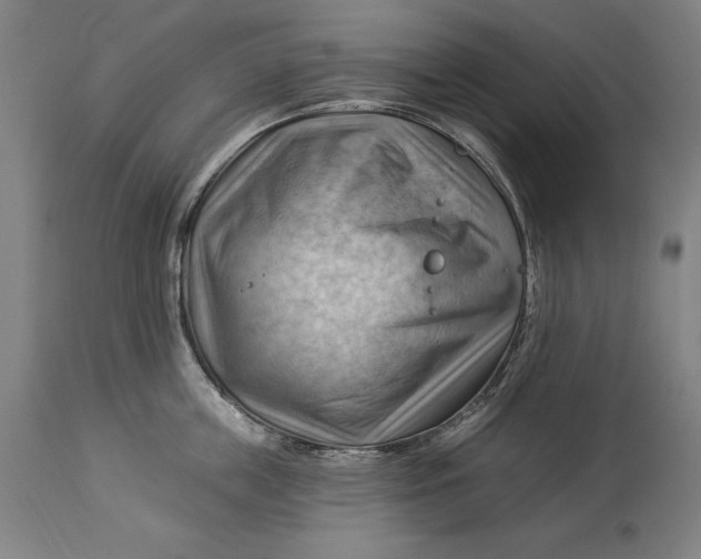 X0000114530859200911091109