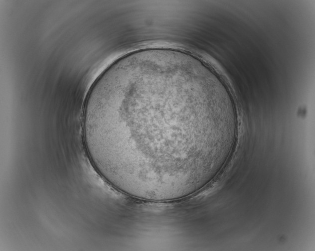 X0000114530860200911091109