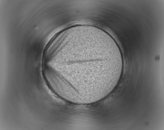 X0000114530861200911091109
