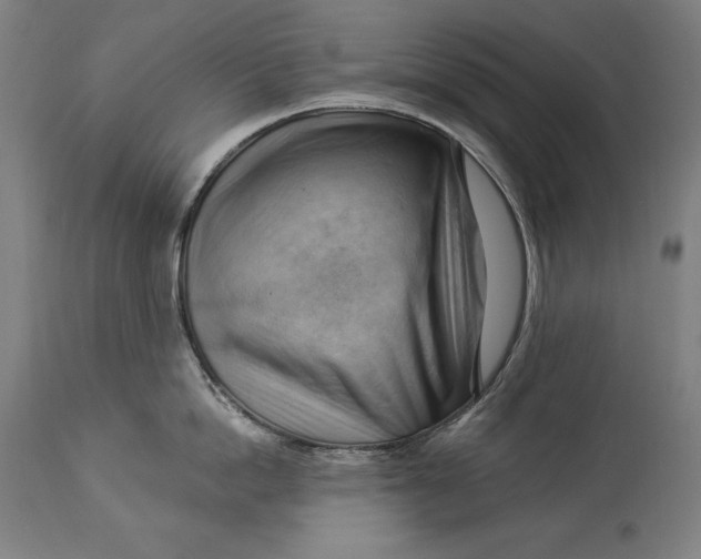 X0000114530862200911091109