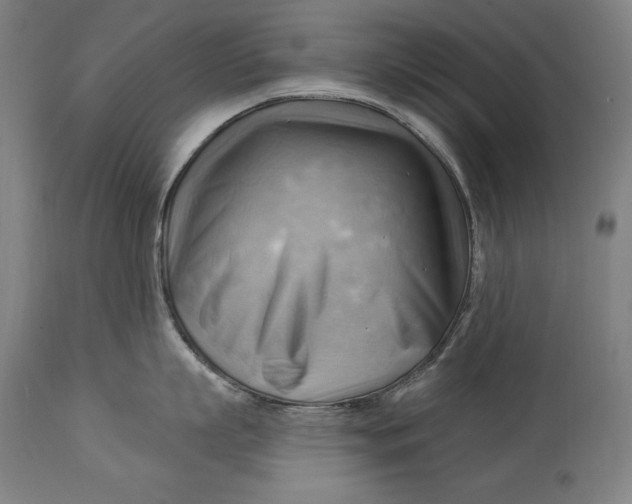 X0000114530863200911091109