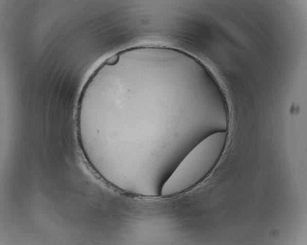 X0000114530864200911091109