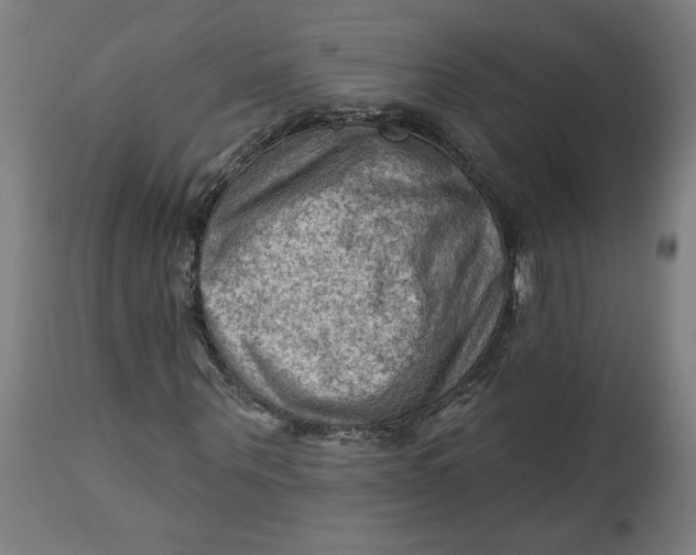 X0000114530867200911091108