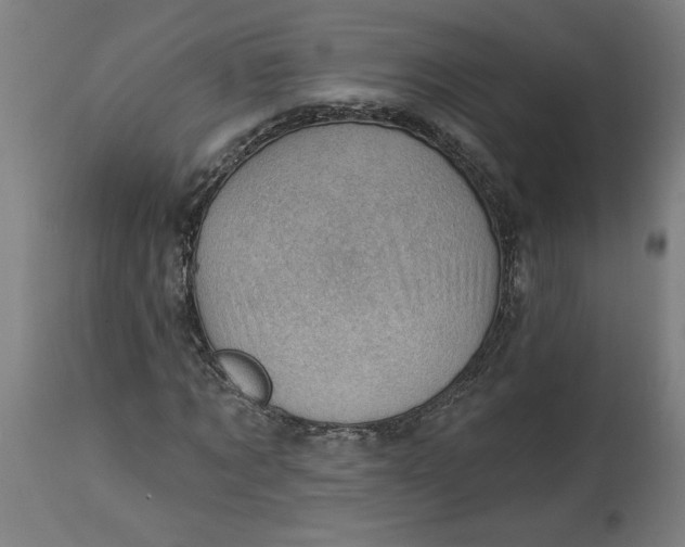 X0000114530869200911091108