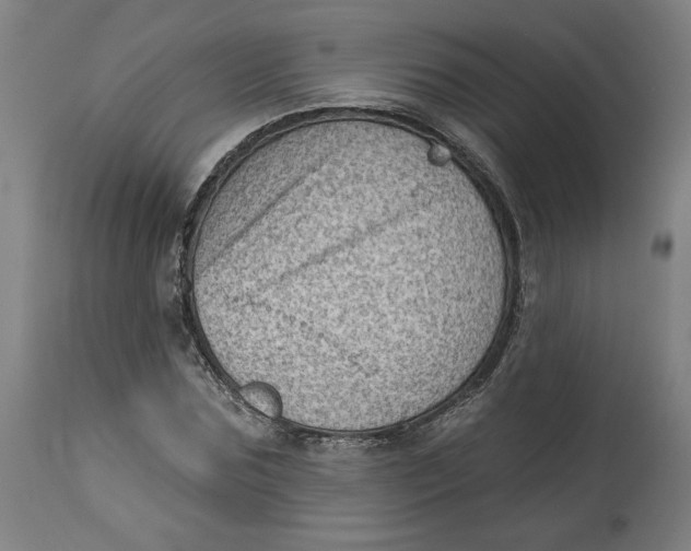 X0000114530875200911091108