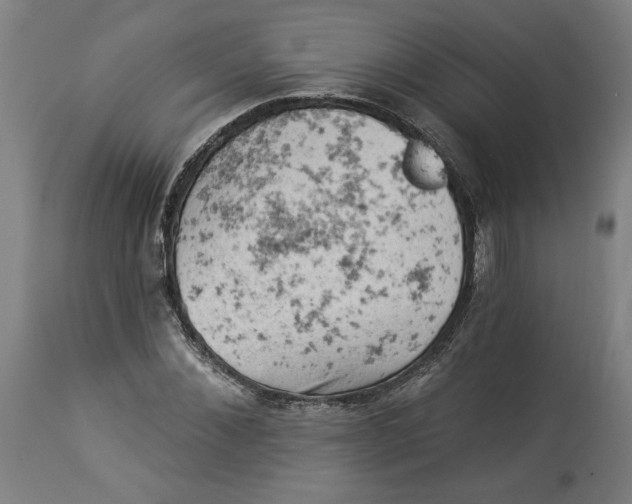 X0000114530876200911091108