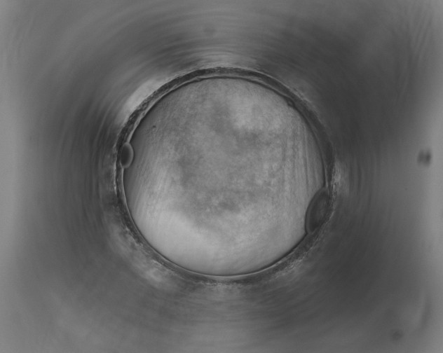 X0000114530877200911091108