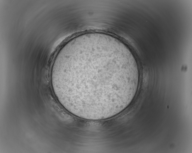 X0000114530878200911091108