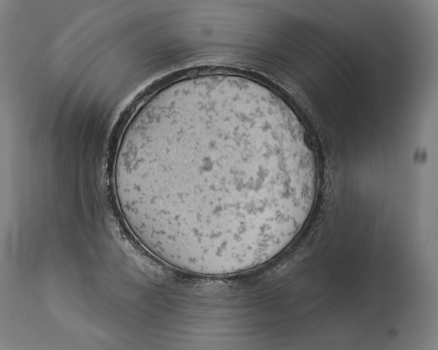 X0000114530880200911091108