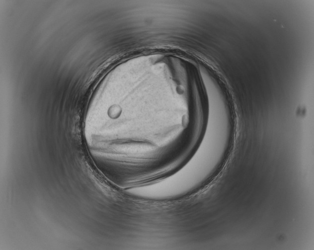 X0000114530881200911091108