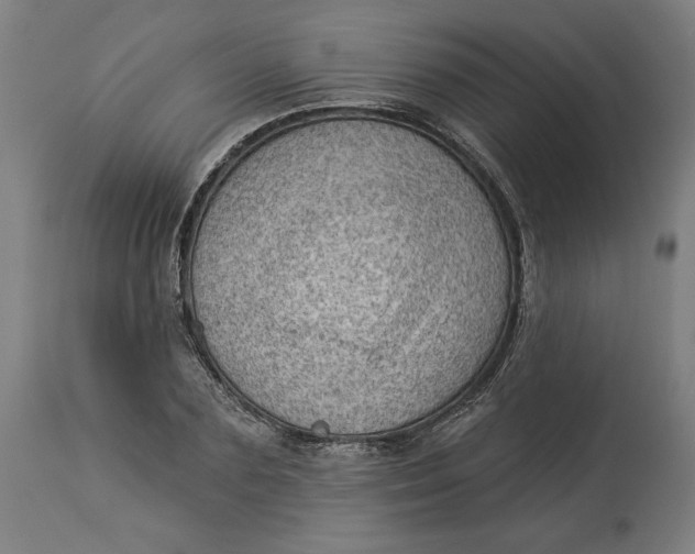 X0000114530883200911091108