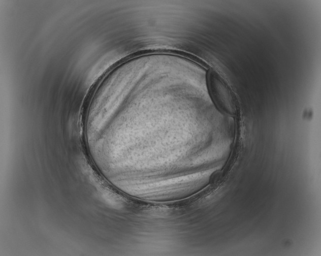 X0000114530885200911091108