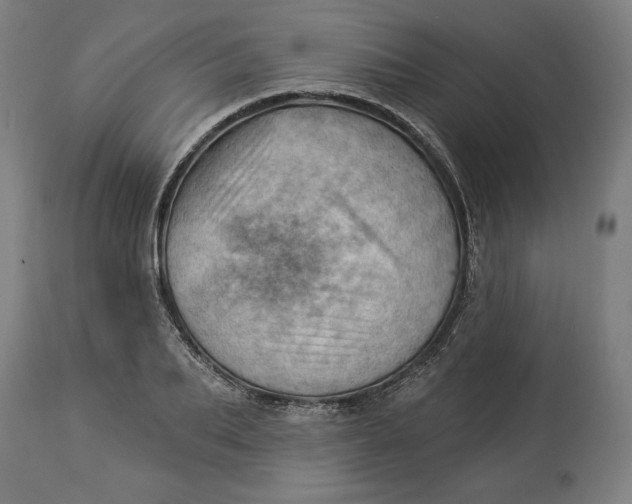 X0000114530887200911091108
