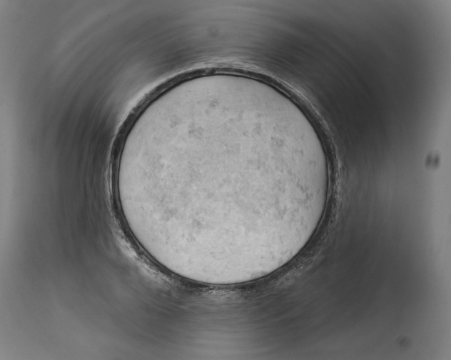 X0000114530888200911091108