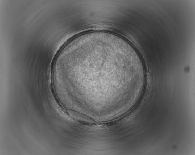X0000114530891200911091108