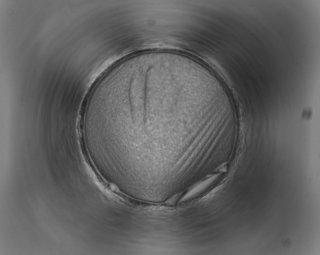 X0000114530893200911091108