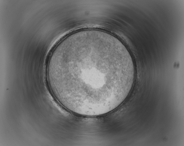 X0000114530894200911091108
