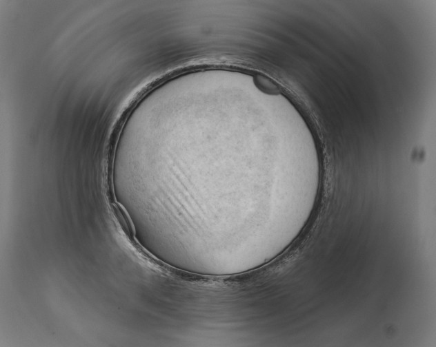 X0000114530896200911091108